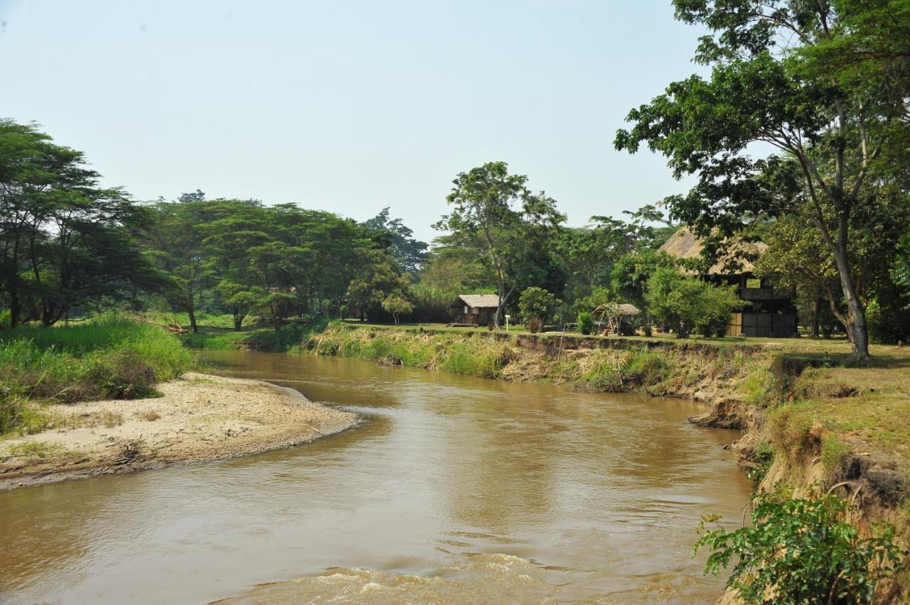 Bullbush River Camp Kihihi Ngoại thất bức ảnh