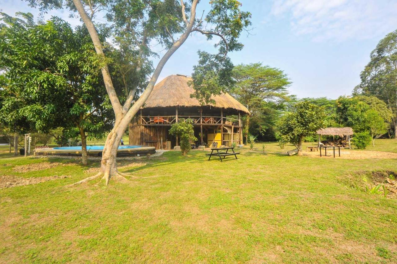 Bullbush River Camp Kihihi Ngoại thất bức ảnh