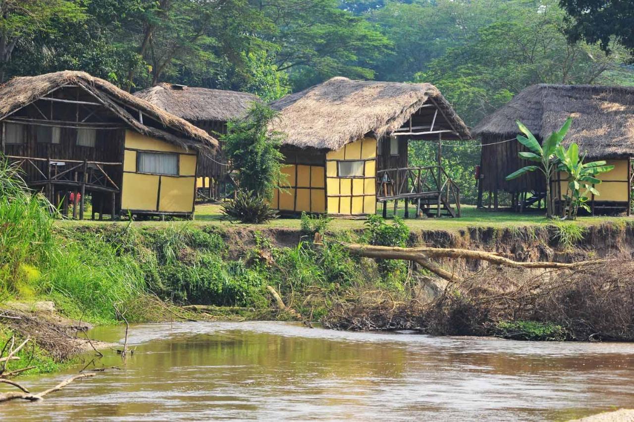 Bullbush River Camp Kihihi Ngoại thất bức ảnh
