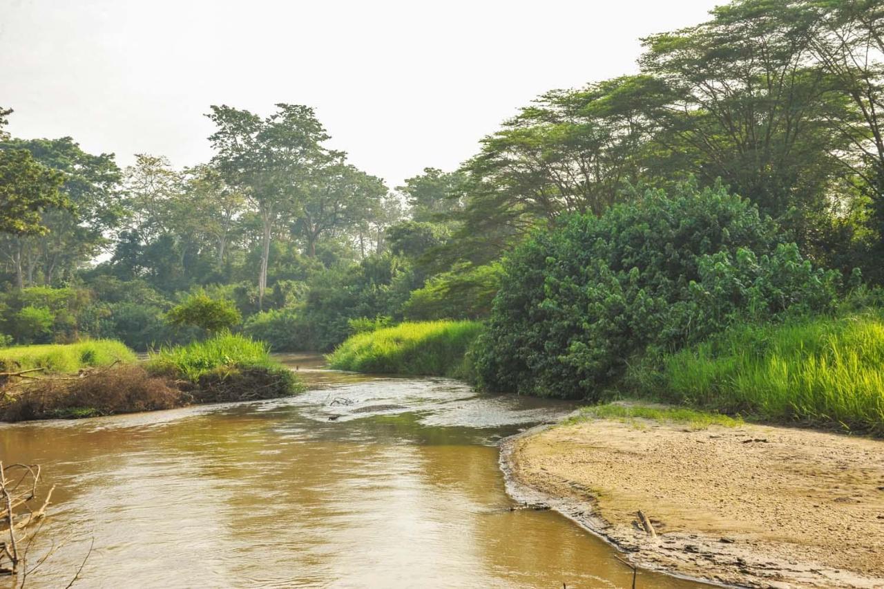 Bullbush River Camp Kihihi Ngoại thất bức ảnh