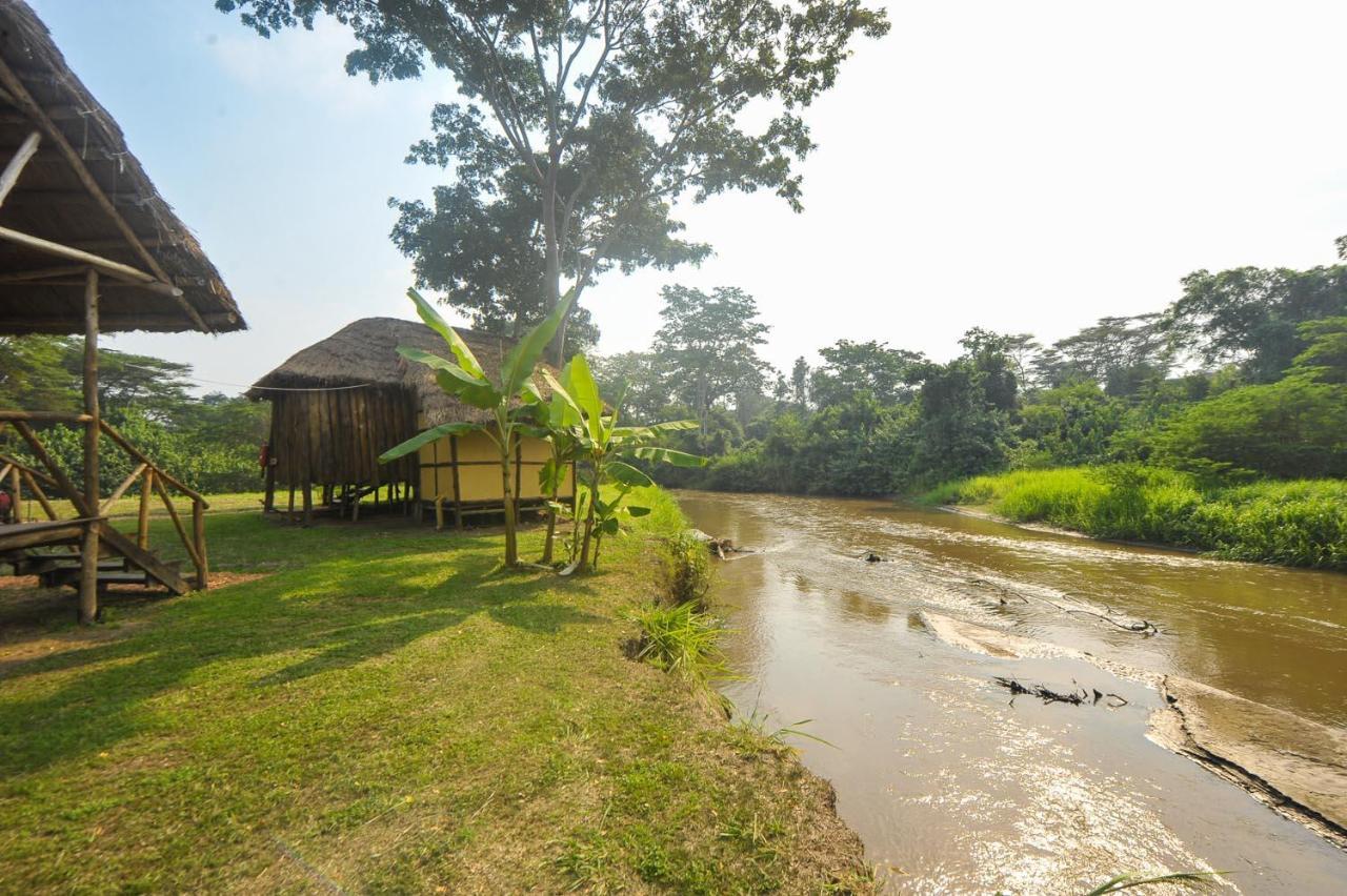 Bullbush River Camp Kihihi Ngoại thất bức ảnh