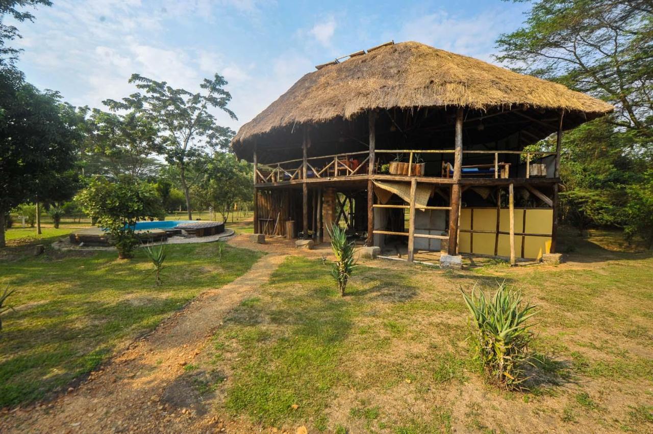 Bullbush River Camp Kihihi Ngoại thất bức ảnh