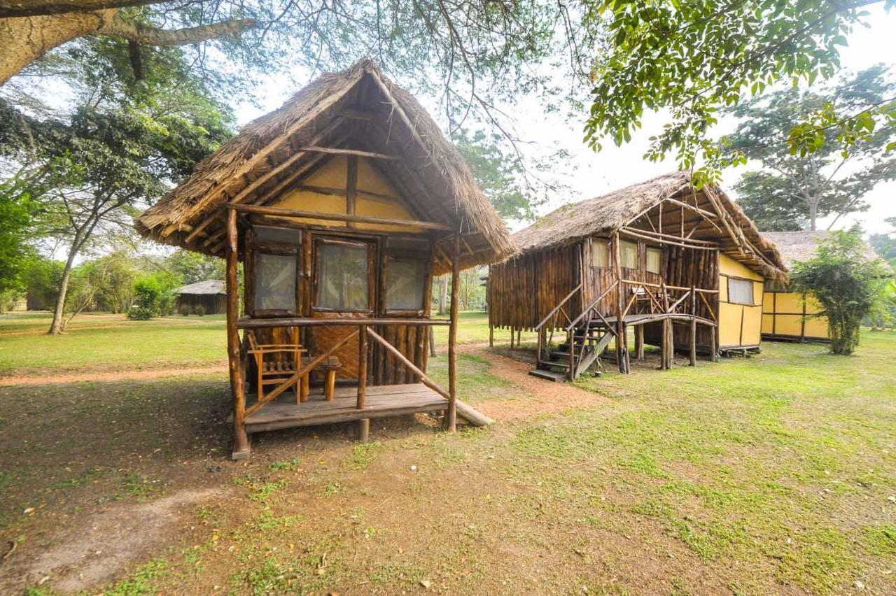 Bullbush River Camp Kihihi Ngoại thất bức ảnh