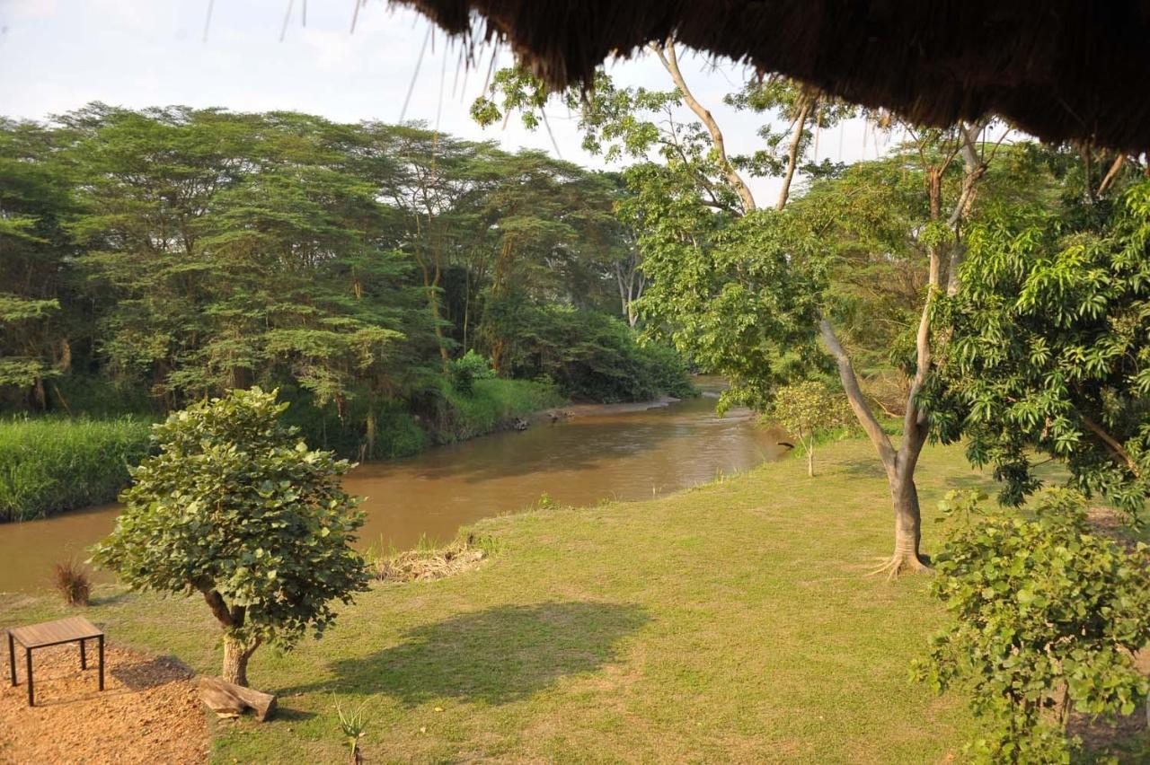 Bullbush River Camp Kihihi Ngoại thất bức ảnh
