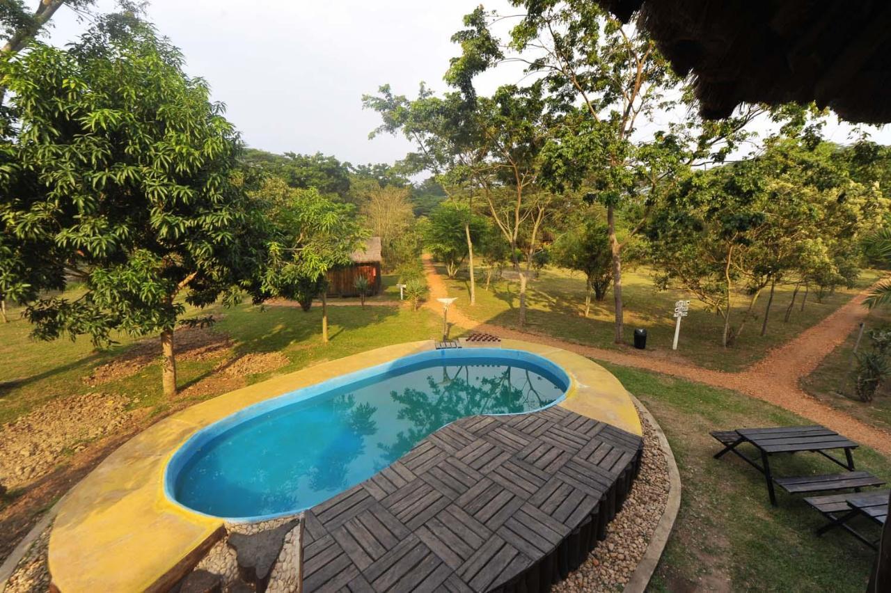 Bullbush River Camp Kihihi Ngoại thất bức ảnh